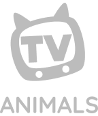 AntiFreeze™ Technology on VocoTV